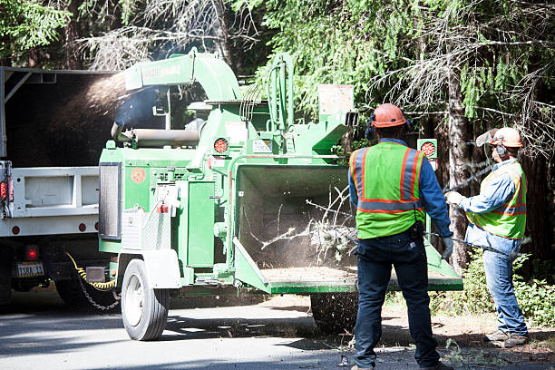 Best Weed Control  in Fresno, CA